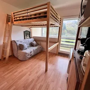 Au Pied Des Pistes Appartement Montferrier